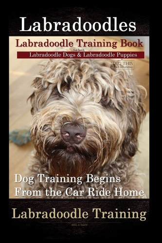 Labradoodles, Labradoodle Training Book for Both Labradoodle Dogs and Labradoodle Puppies by D!G THIS Dog Training Dog Training Begins from the Car Ride Home Labradoodle Training
