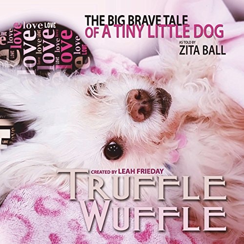 Truffle Wuffle The Big Brave Tale of a Tiny Little Dog