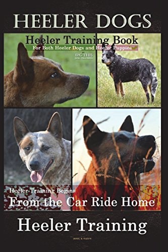 Heeler Dogs Heeler Training Book for Both Heeler Dogs and Heeler Puppies By D!D THIS Dog Training Heeler Training Begins From the Car Ride Home Heeler Training