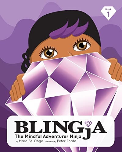 Blingja The Mindful Adventurer Ninja