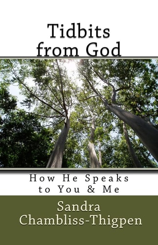 Tidbits from God How He Speaks to You and Me