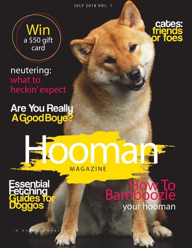 Hooman Magazine