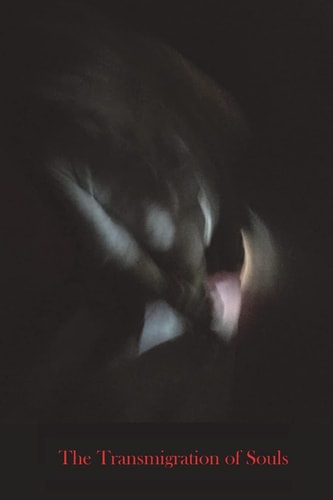 The Transmigration of Souls