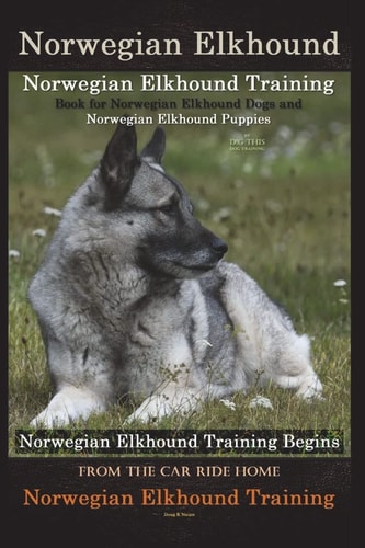 Norwegian Elkhound Training Book for Norwegian Elkhound Dogs and Norwegian Elkhound Puppies by D!G THIS DOG Training Norwegian Elkhound Training Begins from the Car Ride Home Norwegian Elkhound Training