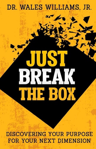 Just Break the Box Discovering Your Purpose for Your Next Dimension