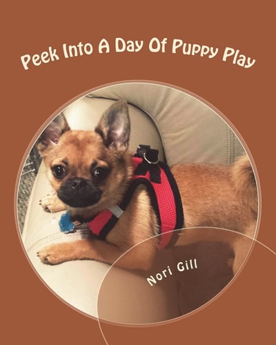Peek Into A Day Of Puppy Play