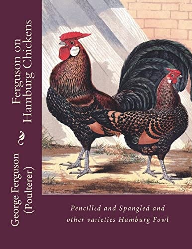 Ferguson on Hamburg Chickens Pencilled and Spangled and Other Varieties Hamburg Fowl