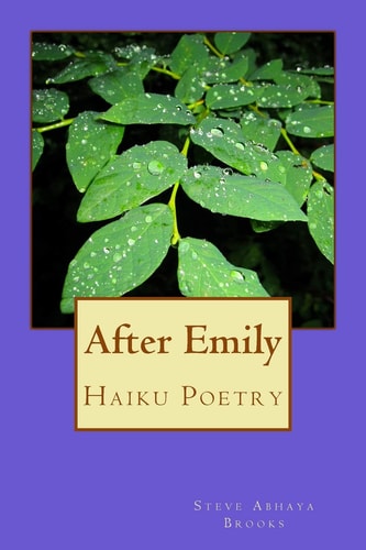 After Emily Poetry by Steve Abhaya Brooks