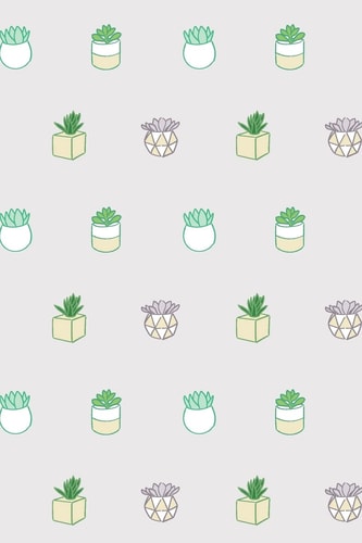 Succulent Squad
