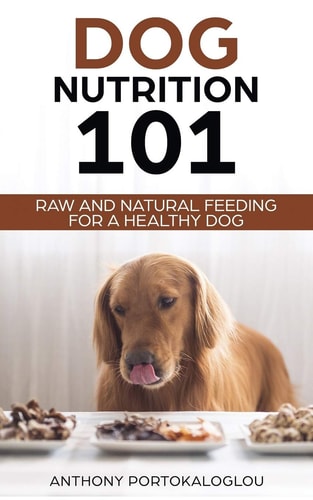 Dog Nutrition 101 Raw And Natural Feeding for a Healthy Dog