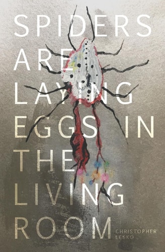 Spiders Are Laying Eggs in the Living Room