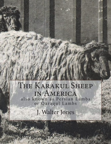 The Karakul Sheep in America Also Known As Persian Lambs Or Qaraqul Lambs