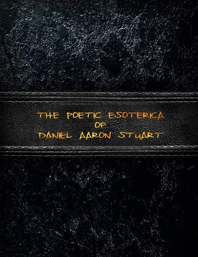 The Poetic Esoterica of Daniel Aaron Stuart