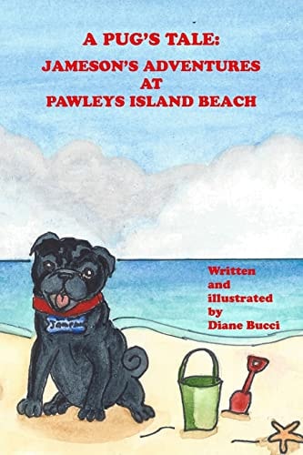 A Pug's Tale Jameson's Adventures at Pawleys Island Beach