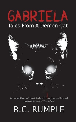 Gabriela Tales From A Demon Cat