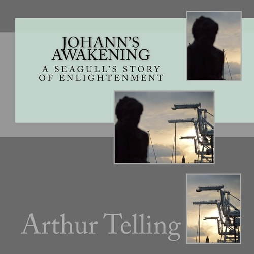 Johann's Awakening A Seagull's Story of Enligtenment