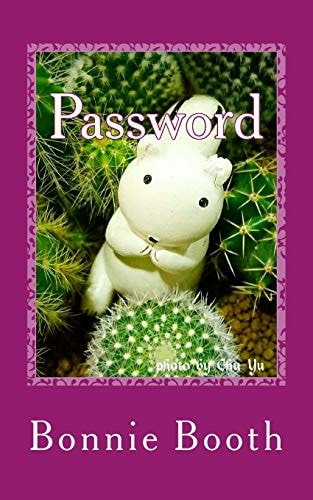 Password I Can Remember