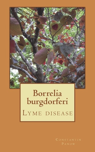 Borrelia Burgdorferi Lyme Disease