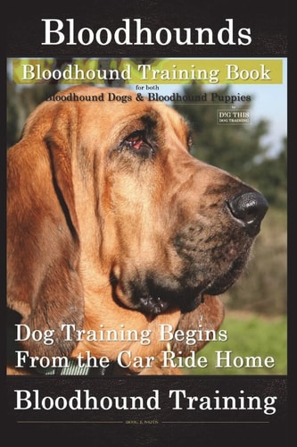 Bloodhounds, Bloodhound Training Book for Both Bloodhound Dogs and Bloodhound Puppies by D!G THIS DOG Training Dog Training Begins from the Car Ride Home Bloodhound Training