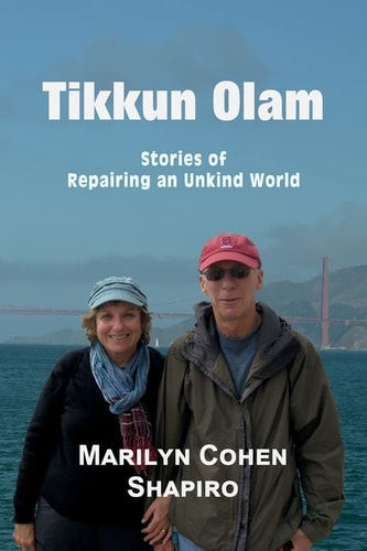 Tikkun Olam Stories of Repairing an Unkind World