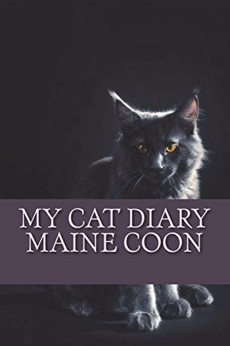 My Cat Diary Maine Coon