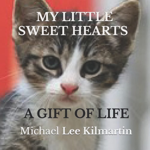 My Little Sweethearts Adventures Volume One