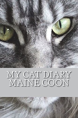 My Cat Diary Maine Coon