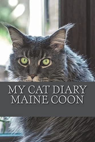 My Cat Diary Maine Coon