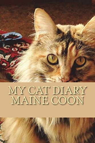 My Cat Diary Maine Coon