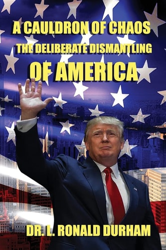 A Cauldron Of Chaos The Deliberate Dismantling Of America