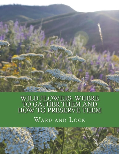 Wild Flowers Where To Gather Them and How To Preserve Them: Also, Their Medicinal Uses
