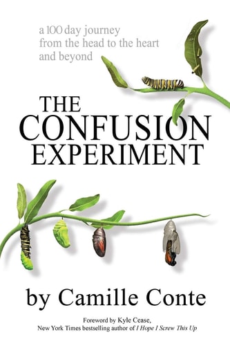 The Confusion Experiment A 100 Day Journey from the Head to the Heart and Beyond