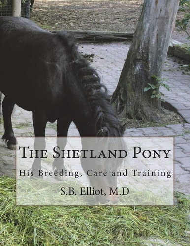 The Shetland Pony His Breeding, Care and Training