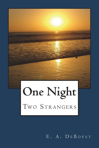 One Night Two Strangers