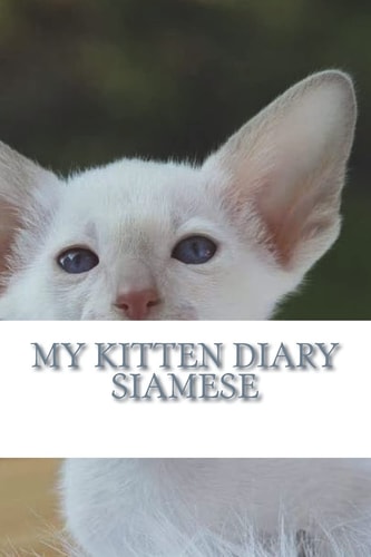 My Kitten Diary Siamese