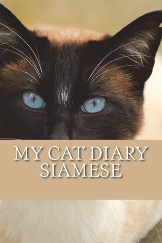 My Cat Diary Siamese