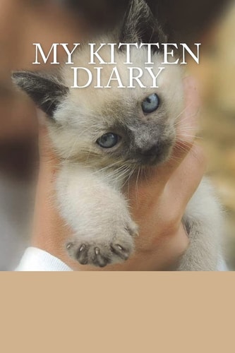 My Kitten Diary Siamese