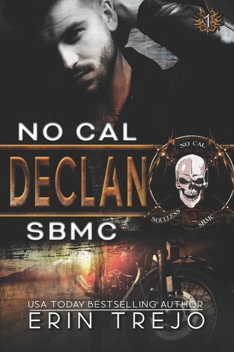 Declan Soulless Bastards MC Book 1