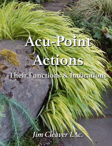 Acu-Point Actions Their Functions and Indications