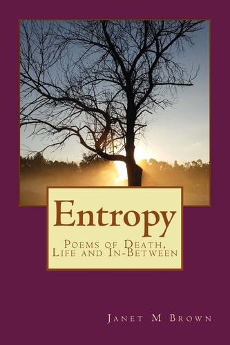 Entropy Poems of Death, Life and Everything on the Outside