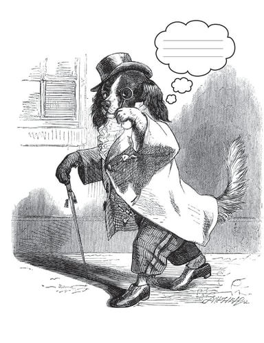 Funny Dog and Monocle