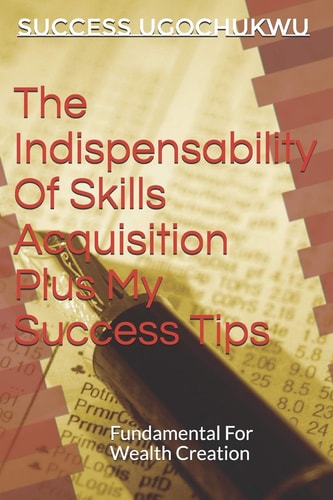The Indispensability Of Skills Acquisition Plus My Success Tips Fundamental For Wealth Creation
