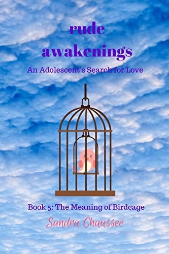 Rude Awakenings An Adolescent's Search for Love