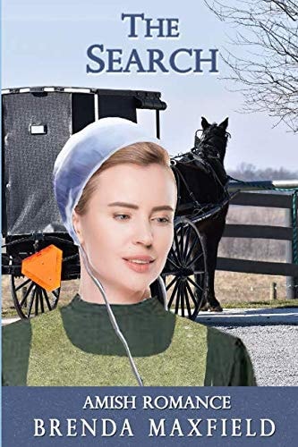 Amish Romance: the Search