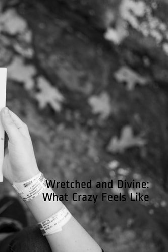 Wretched and Divine What Crazy Feels Like