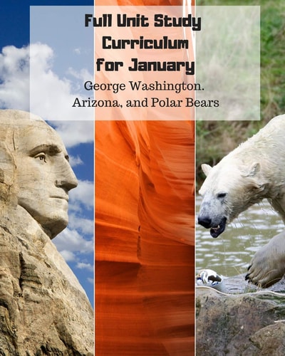 Full Unit Study Curriculum for January (George Washington, Arizona, and Polar Bears) K-1st