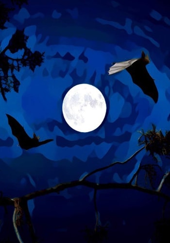 Halloween Activity Book