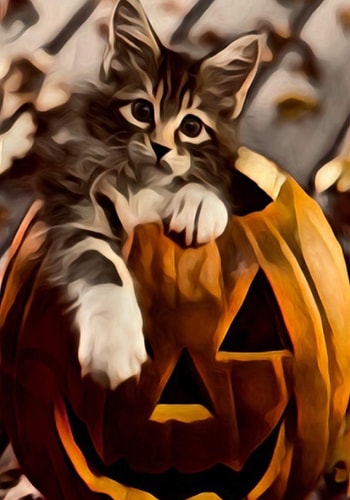 Halloween Activity Book