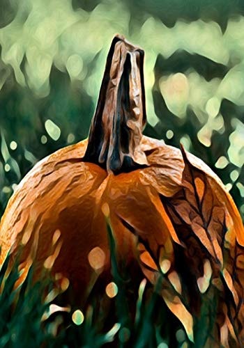 Halloween Activity Book