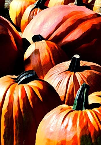 Halloween Activity Book